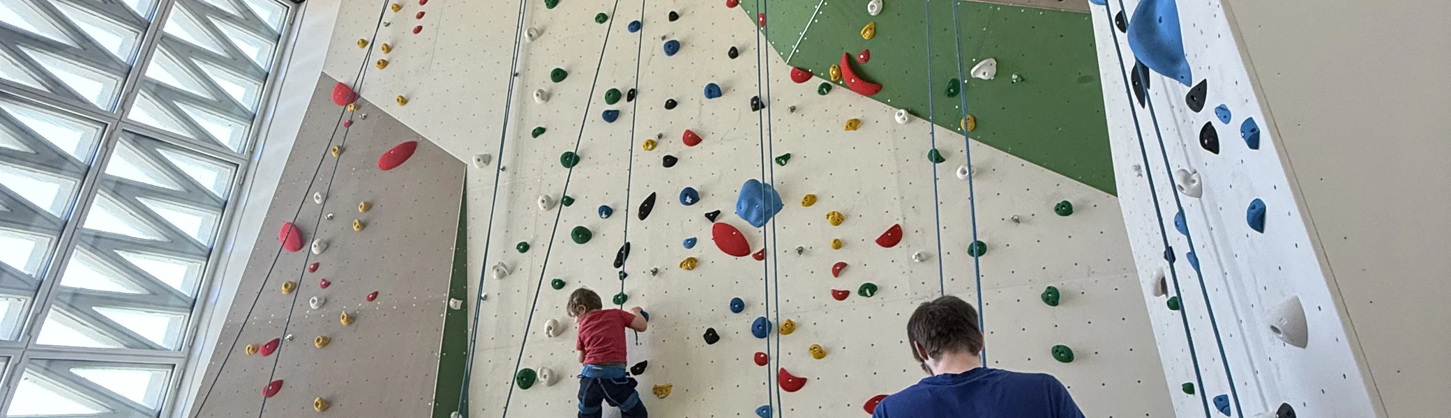 Kletterwand mit Kindern und TrainerInnen | © Harald Dörr