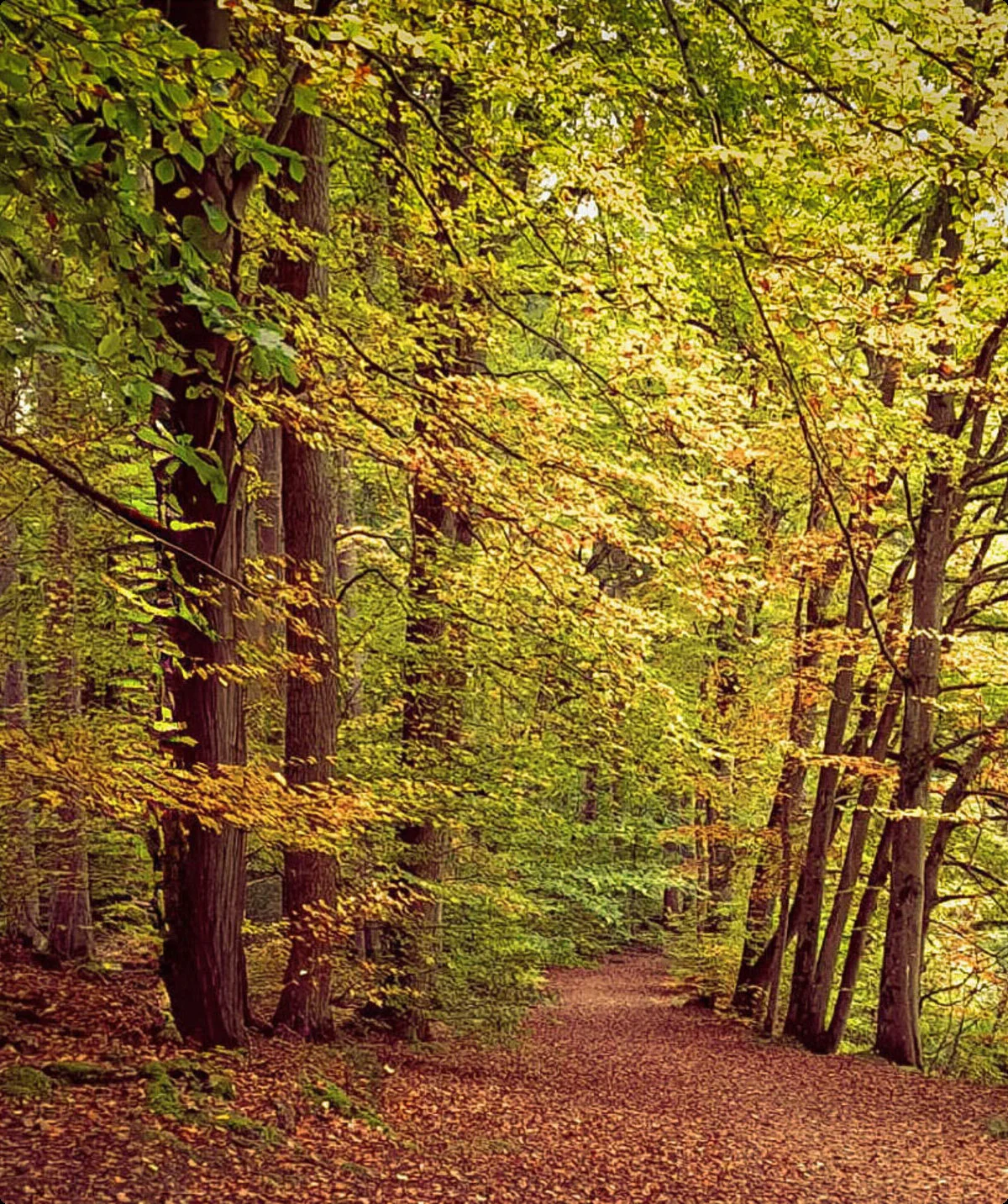 © DAV Wiesbaden