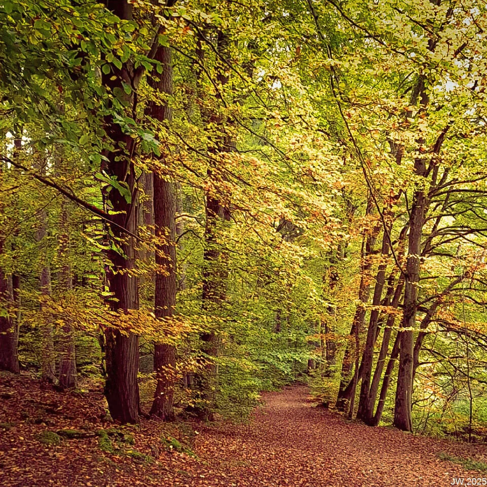© DAV Wiesbaden