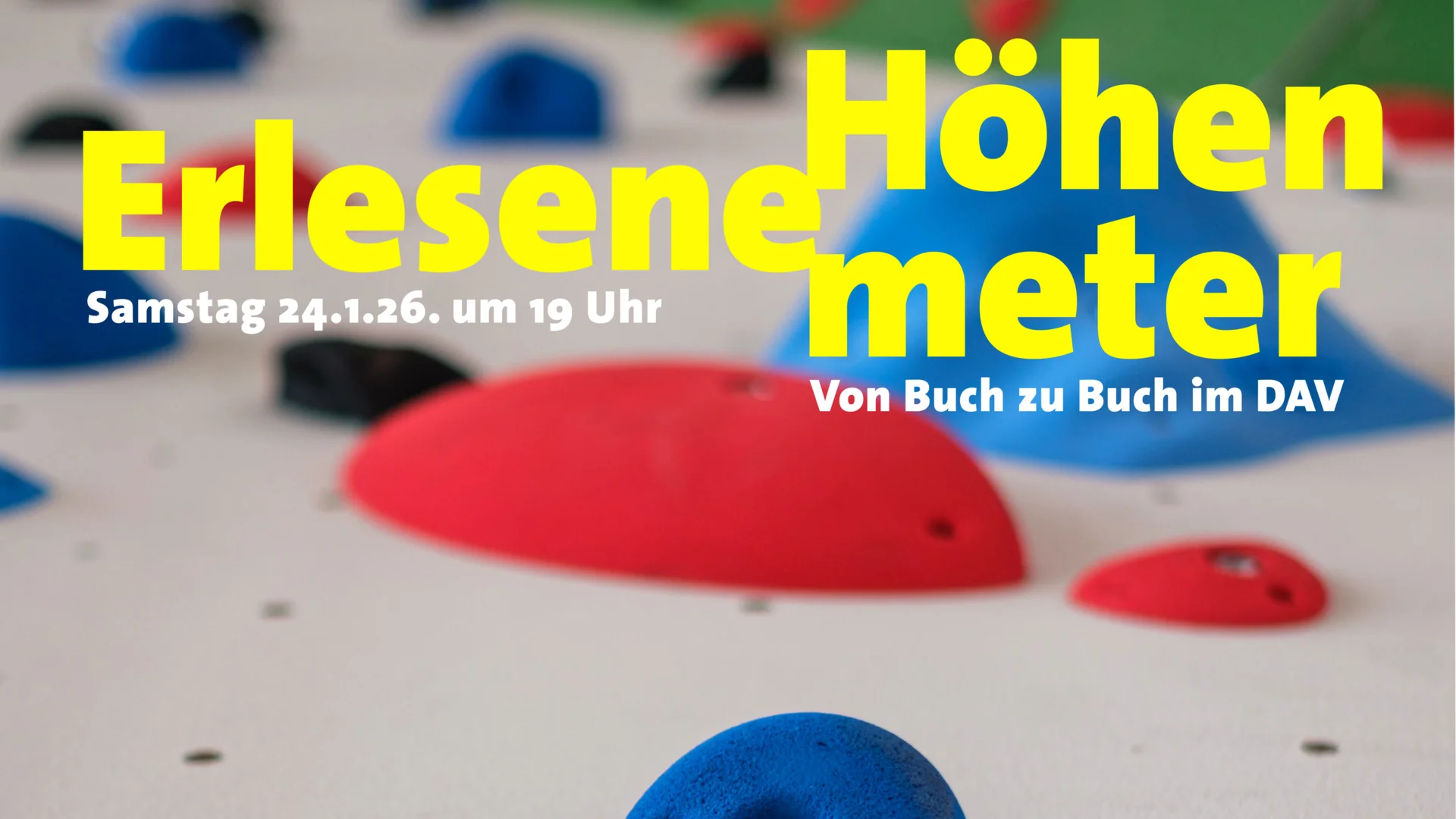 Nahaufnahme der Kletterwand | © Harald Dörr