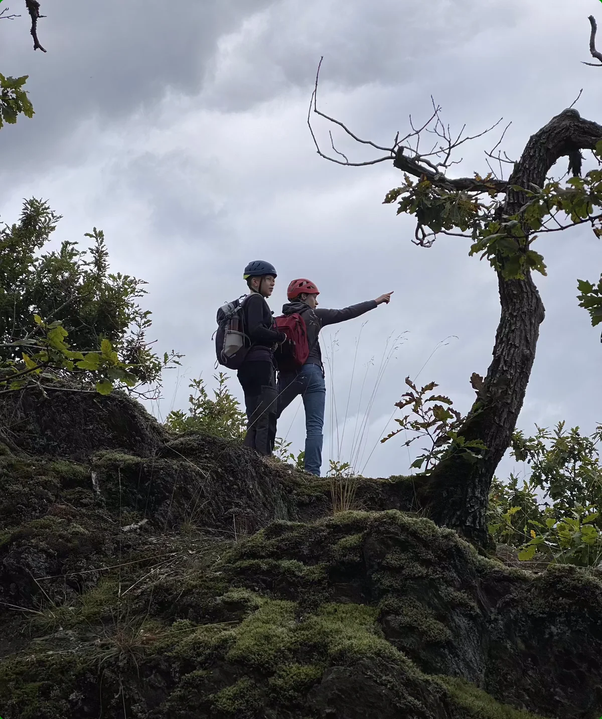 Bergtrolle Gruppe | © Lukas Dörr