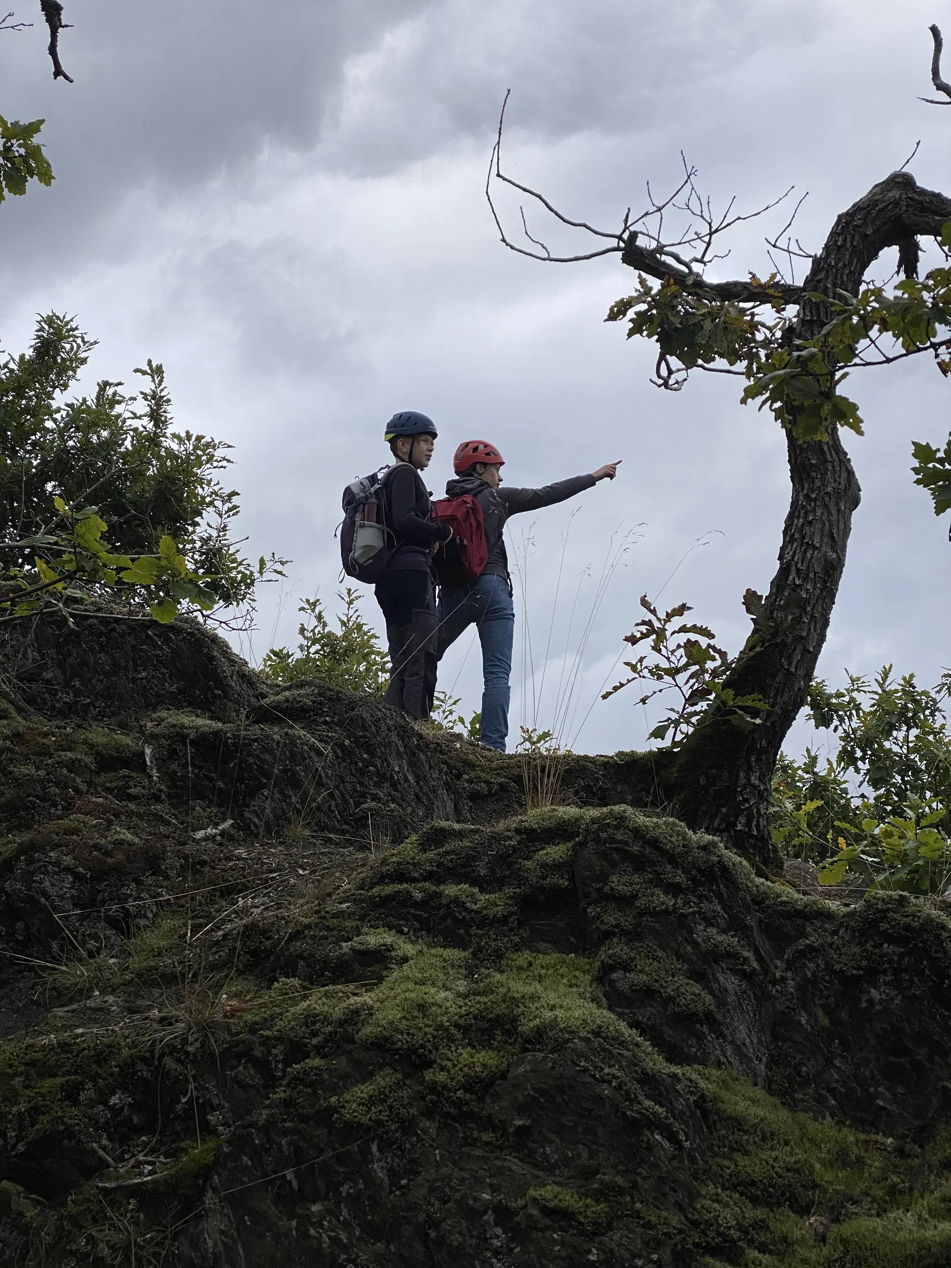 Bergtrolle Gruppe | © Lukas Dörr